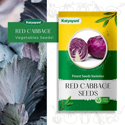 Red Cabbage Vegitable Seeds