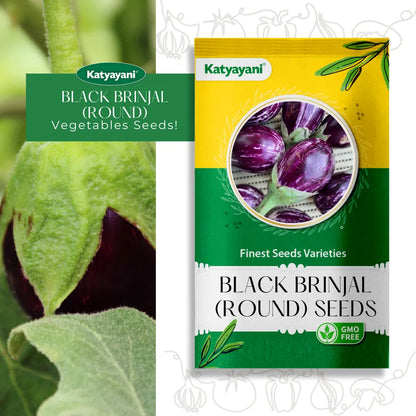 Black Brinjal (Round) Vegitable Seeds