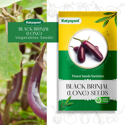 Black Brinjal (long) Vegetable Seeds