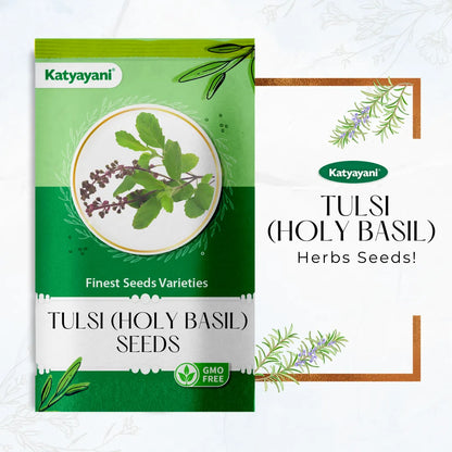 Tulsi (Holy Basil) Herb seeds