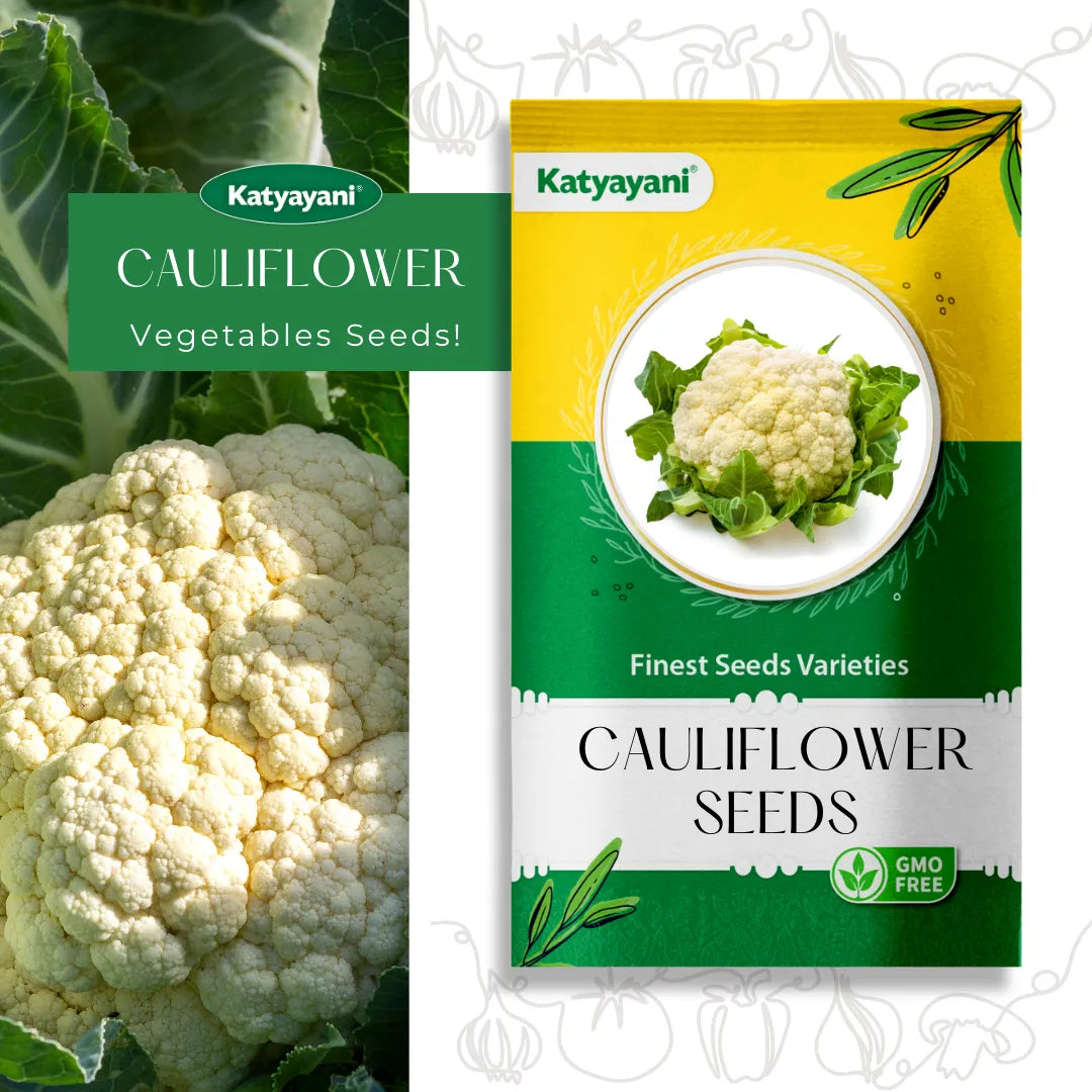 Cauliflower Vegitable Seeds