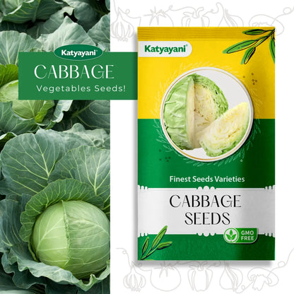 Cabbage Vegitable Seeds