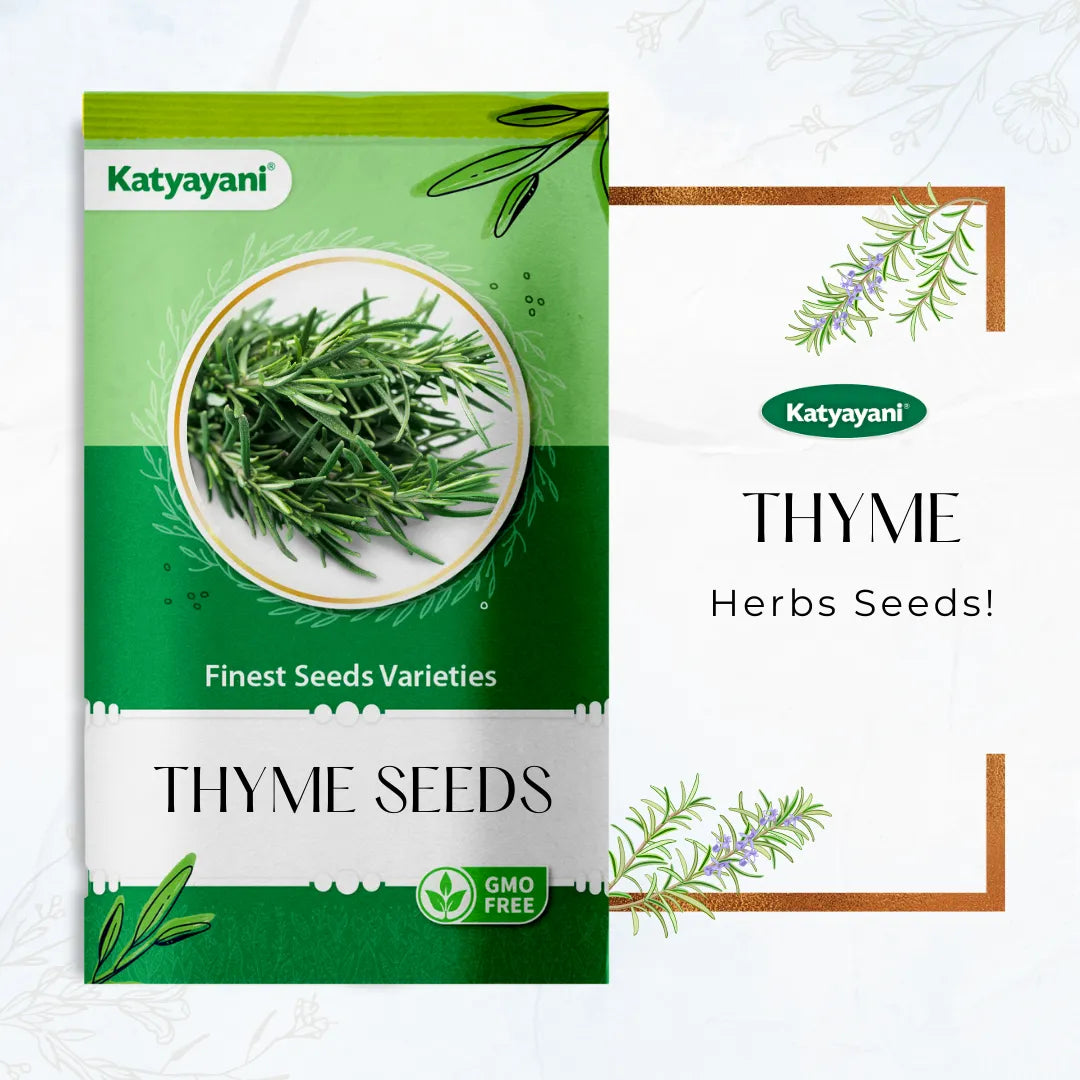 Thyme Herb seeds