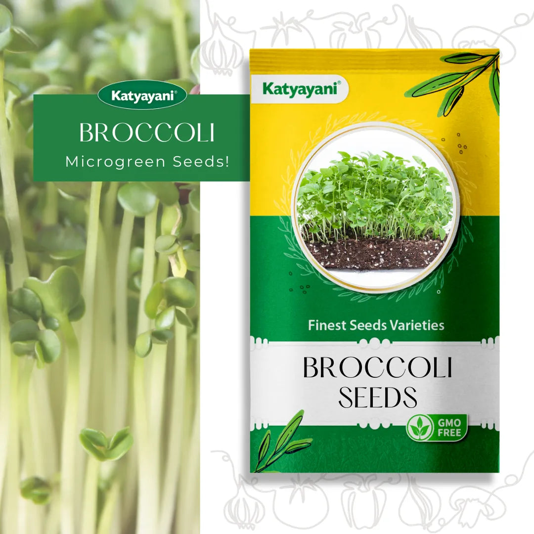 Broccoli Microgreen Seeds