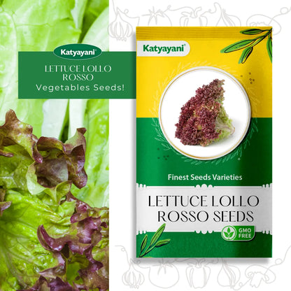 Lettuce Lollo Rosso Vegitable Seeds