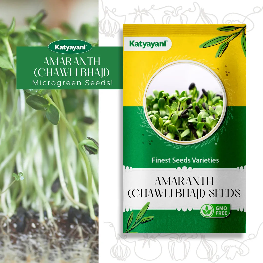 Amaranth (Chawli Bhaji) Vegitable Seeds