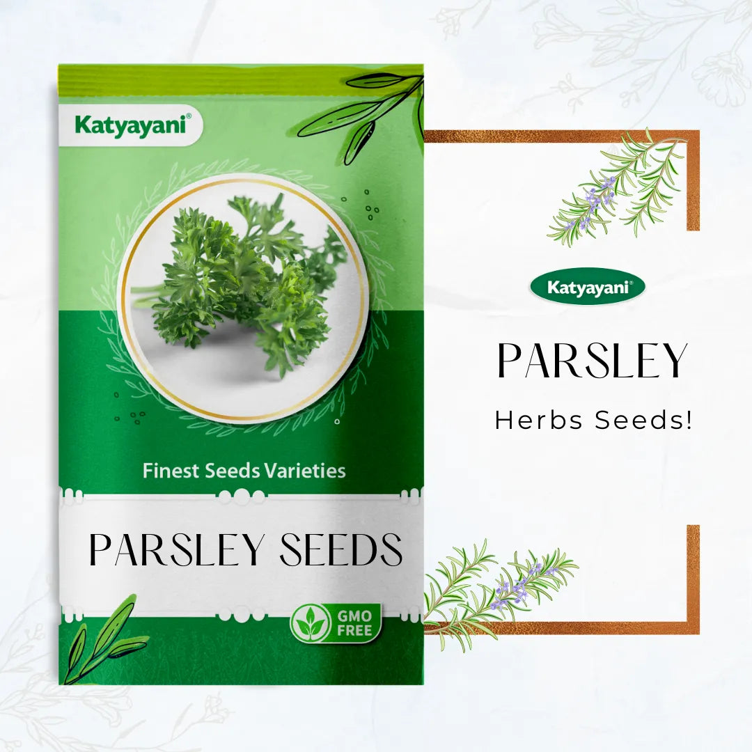 Parsley Herb seeds