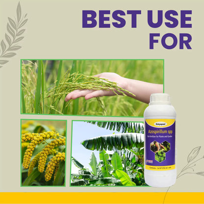 Katyayani Azospirillum Bio Fertilizer