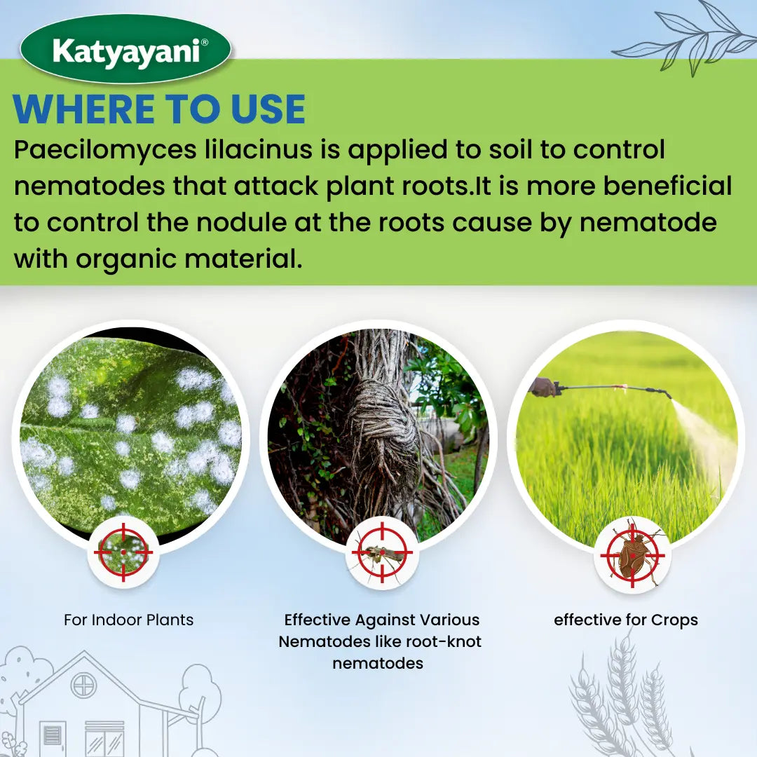 Paecilomyces Lilacinus Bio Insecticide