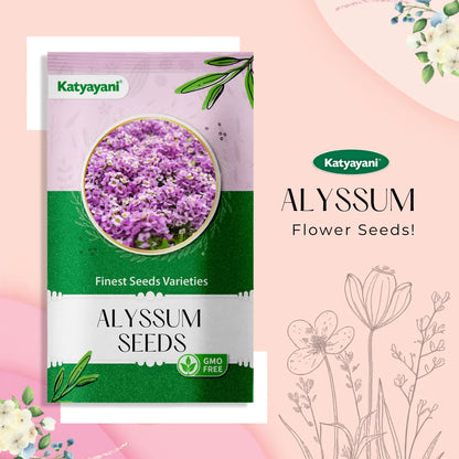 Alyssum Flowering Seeds