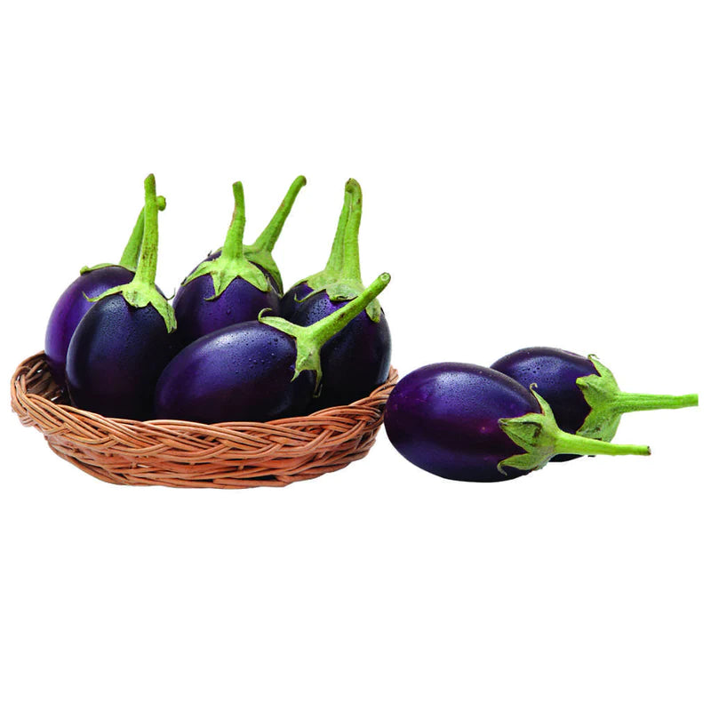 Black Brinjal (Round) Vegitable Seeds