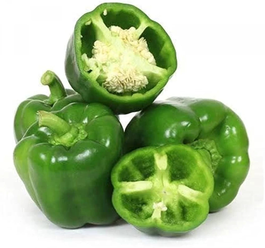 Capsicum Vegitable Seed