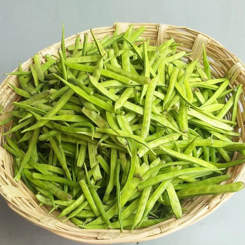 Cluster Beans Vegitable Seeds