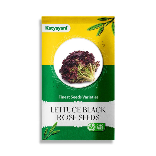 Lettuce Black Rose Vegetable Seeds