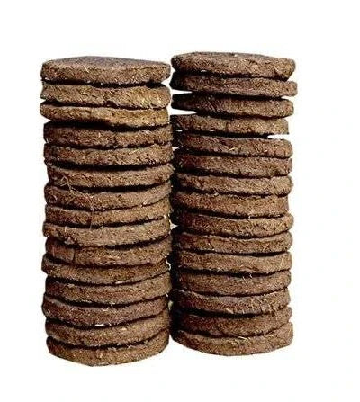 Cow Dung Cakes