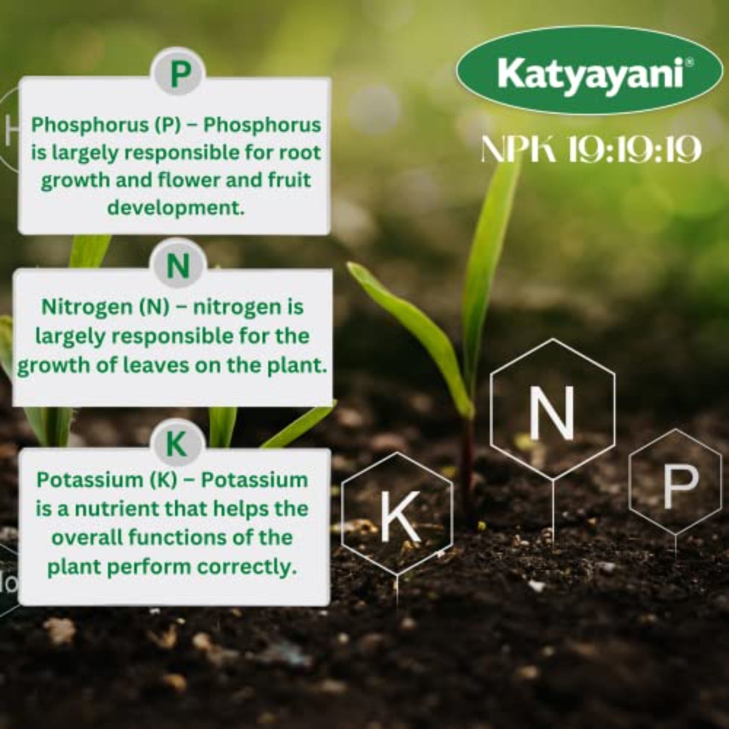 NPK 19 19 19 100% Water Soluble Fertilizer