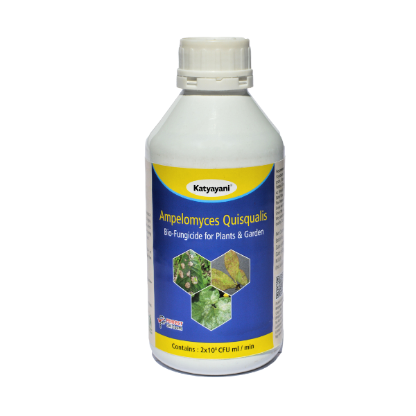 Katyayani Ampelomyces quisqualis Bio fungicide