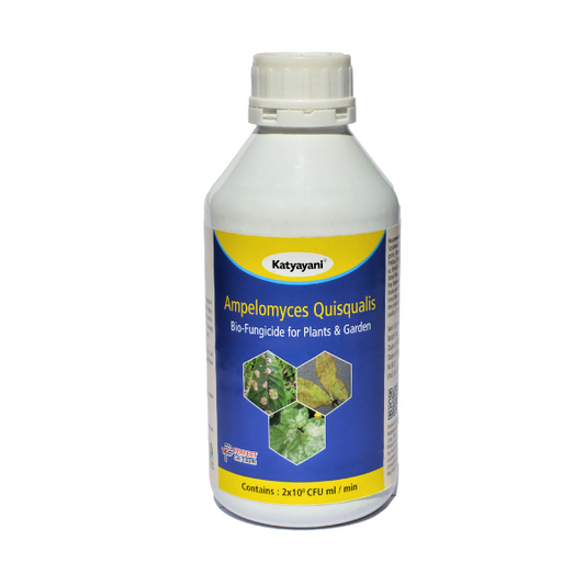 Katyayani Ampelomyces quisqualis Bio fungicide