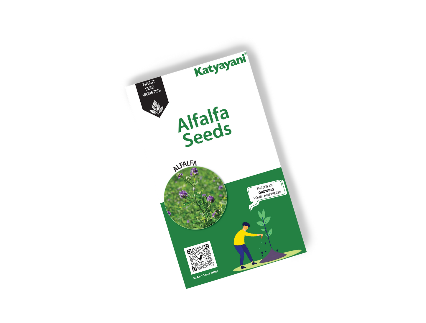 Alfalfa  (Lucerne Grass) Tree and Grass seeds