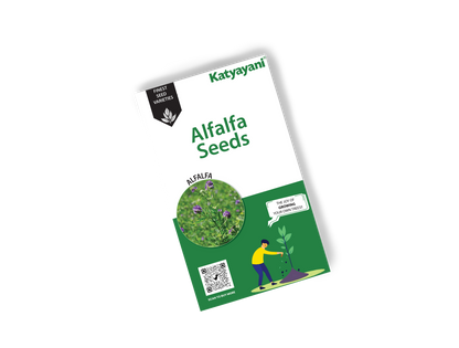 Alfalfa  (Lucerne Grass) Tree and Grass seeds