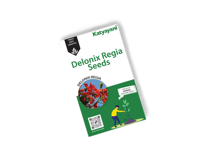 Delonix Regia  (Flamboyant Tree) - 100 g Tree and Grass seeds